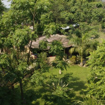Chitwan Safari Camp & Lodge Sauraha Extérieur photo