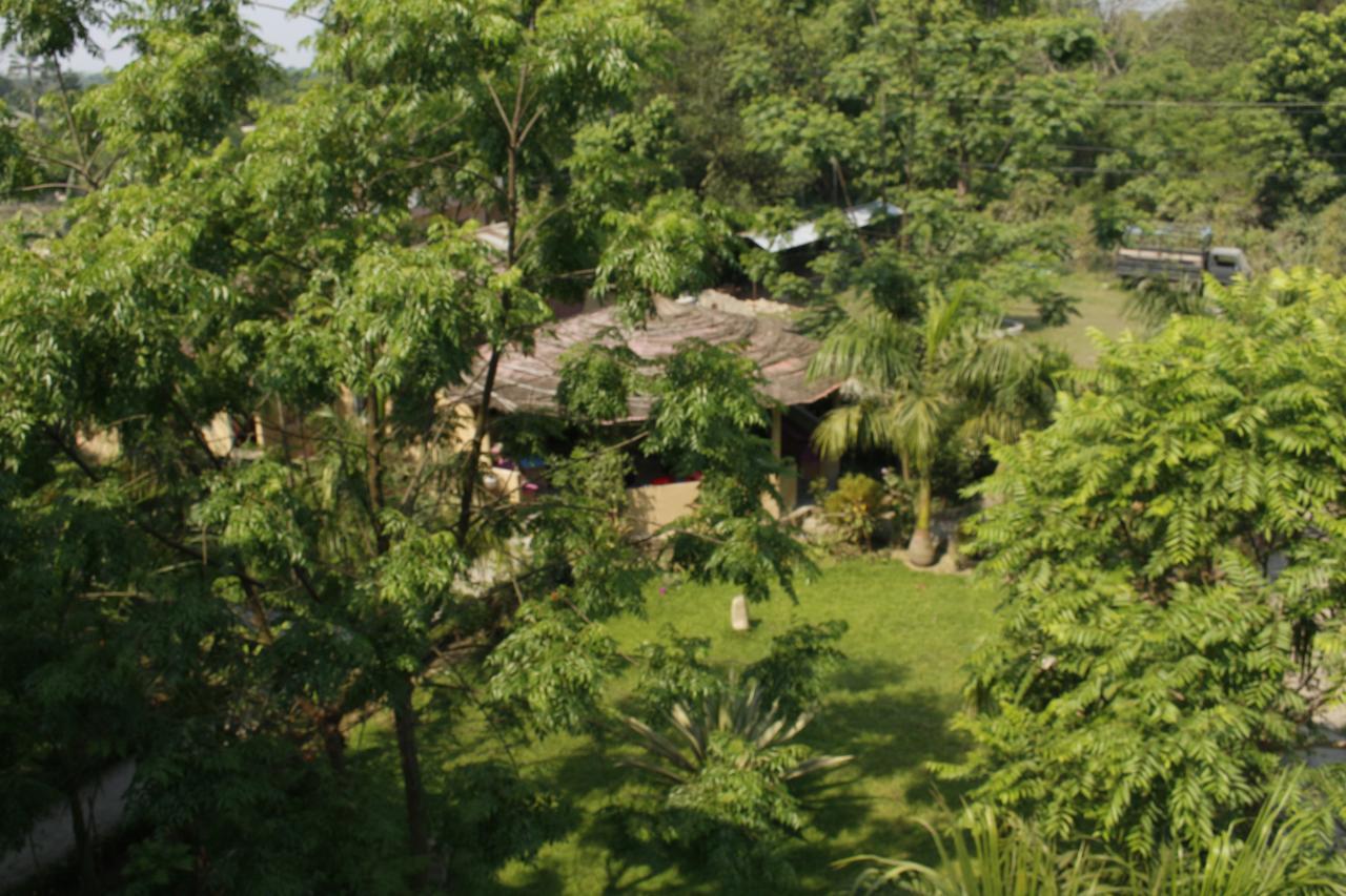 Chitwan Safari Camp & Lodge Sauraha Extérieur photo
