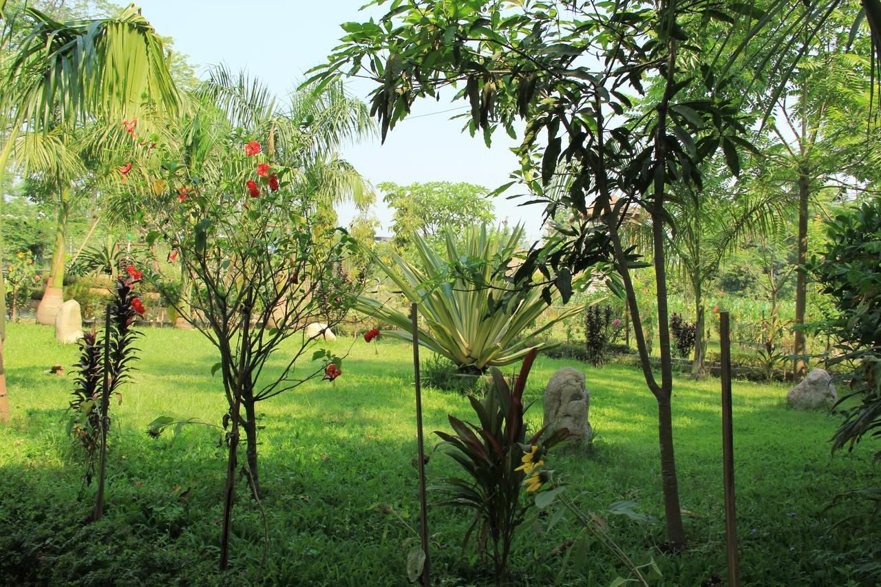 Chitwan Safari Camp & Lodge Sauraha Extérieur photo