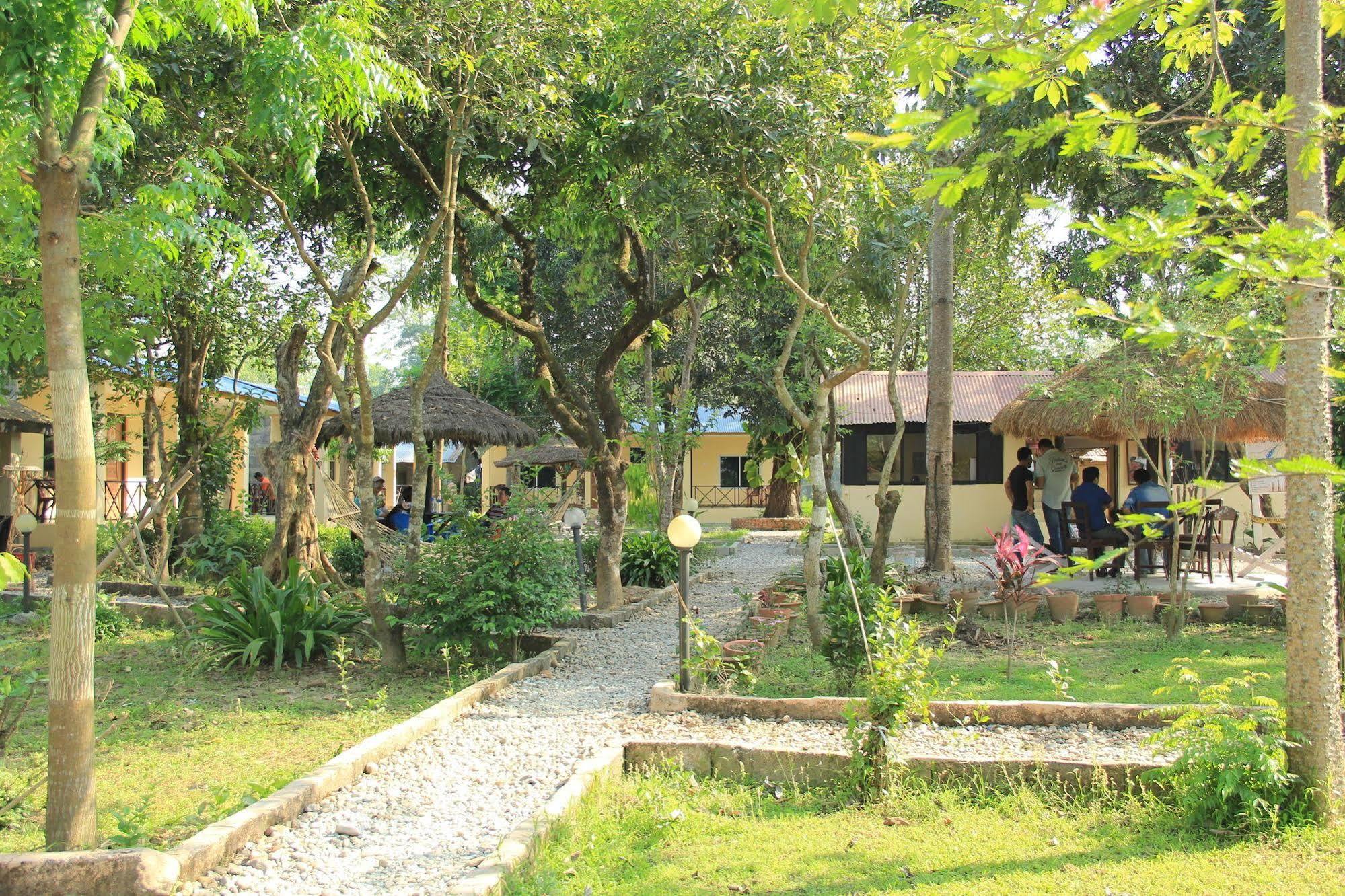 Chitwan Safari Camp & Lodge Sauraha Extérieur photo
